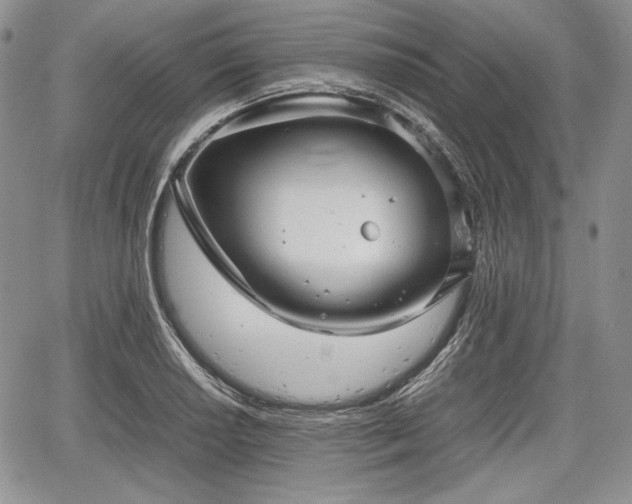 X0000067911034200604171333