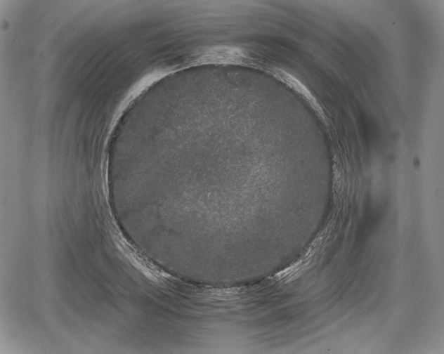 X0000067911035200604171333