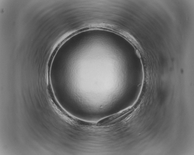 X0000067911036200604171333