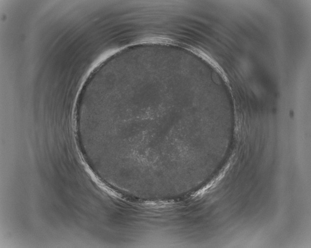 X0000067911037200604171333