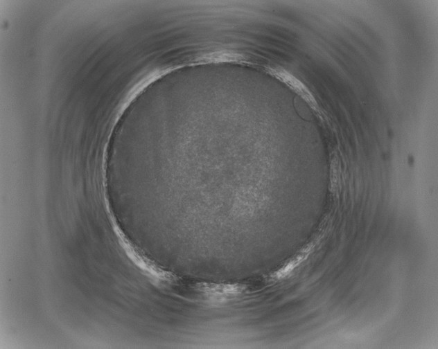 X0000067911039200604171333