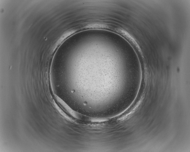 X0000067911041200604171334