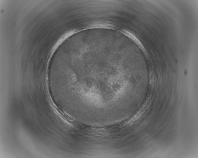 X0000067911043200604171334