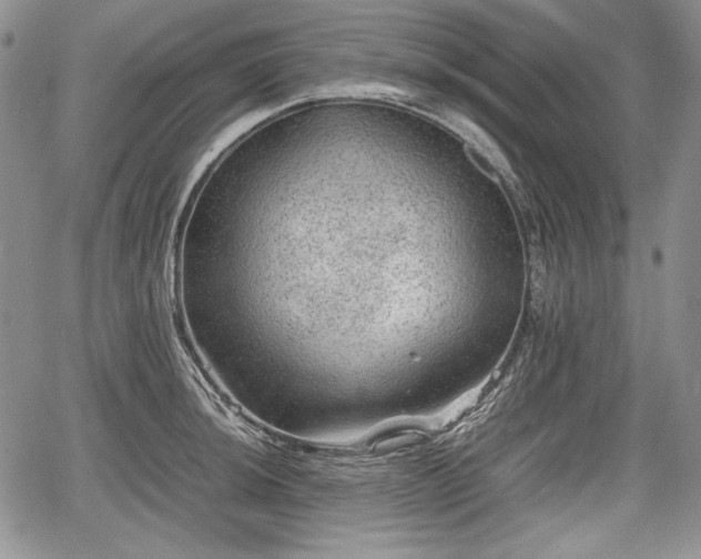 X0000067911044200604171334