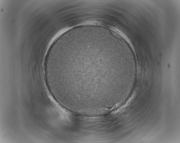 X0000067911045200604171334