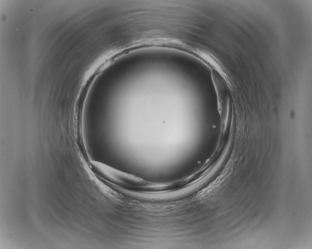 X0000067911046200604171334