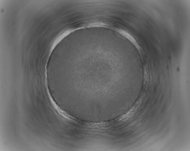 X0000067911047200604171334