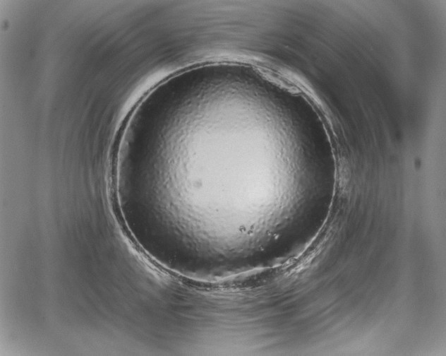 X0000067911048200604171334