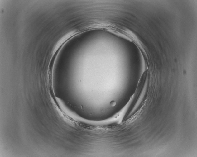 X0000067911050200604171334