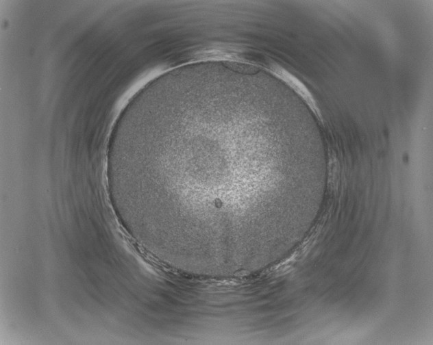 X0000067911051200604171334