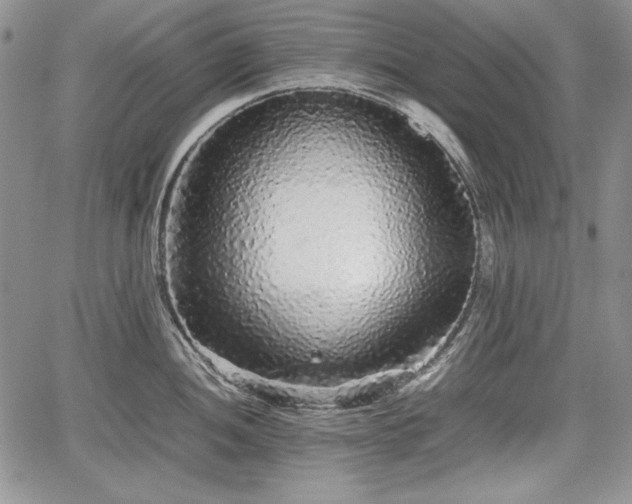 X0000067911052200604171334