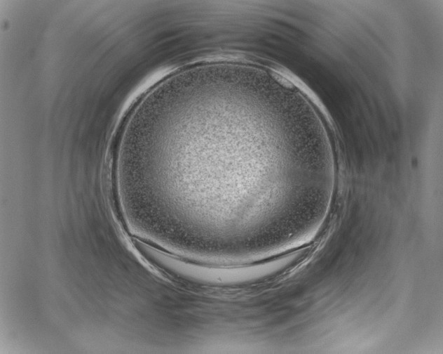 X0000067911053200604171334