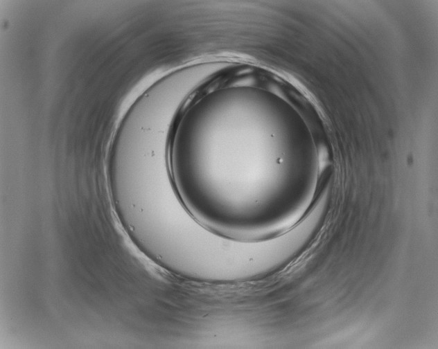 X0000067911054200604171334