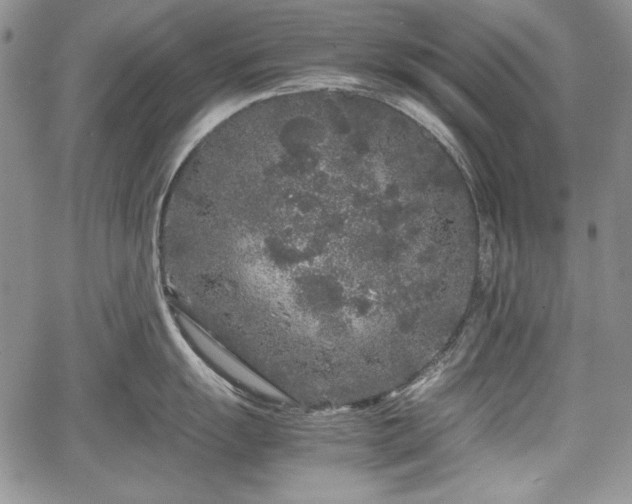 X0000067911055200604171334