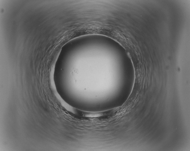 X0000067911057200604171333