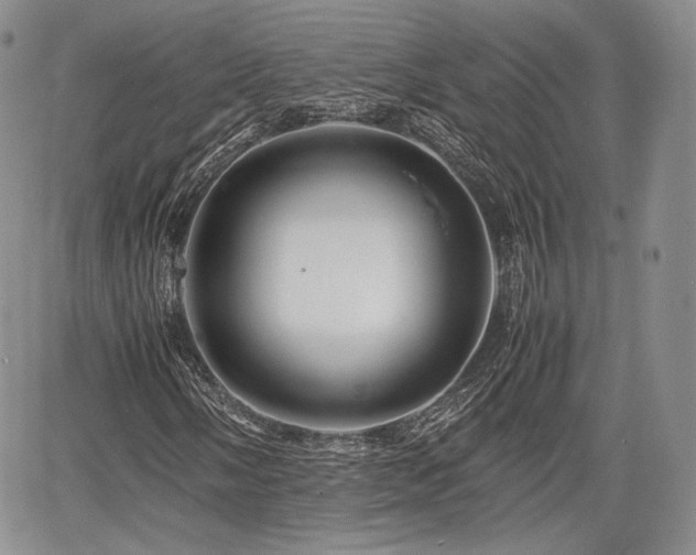 X0000067911058200604171333