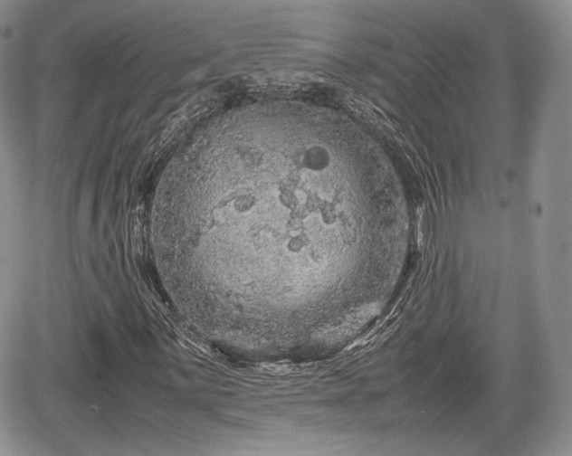 X0000067911059200604171333