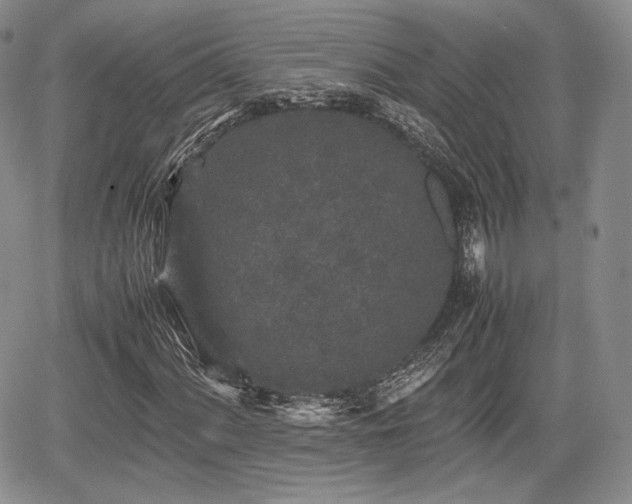 X0000067911060200604171333