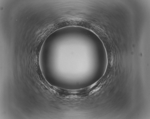 X0000067911061200604171333