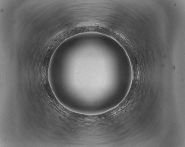 X0000067911062200604171333