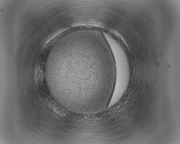 X0000067911064200604171333