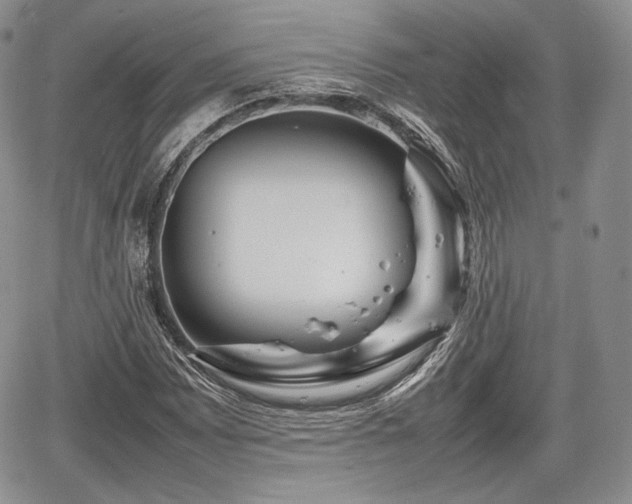 X0000067911065200604171333