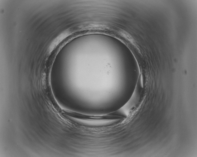 X0000067911066200604171333