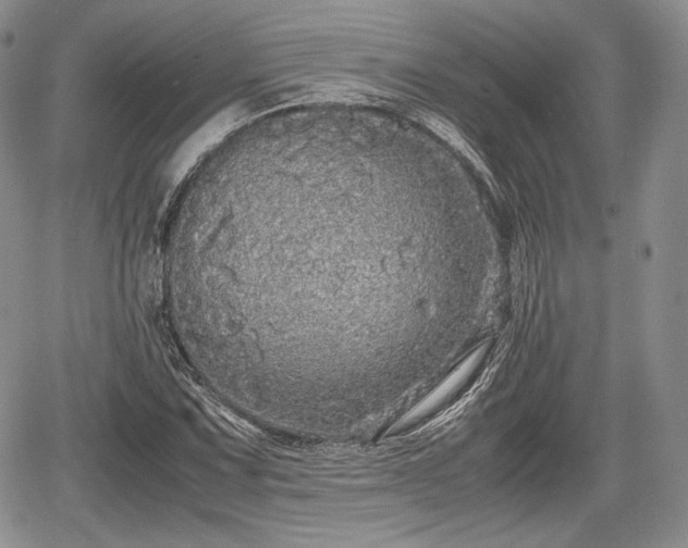 X0000067911067200604171333