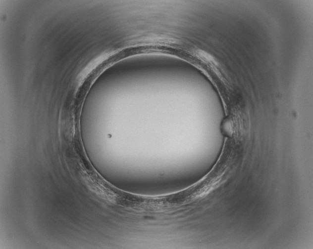 X0000067911069200604171333