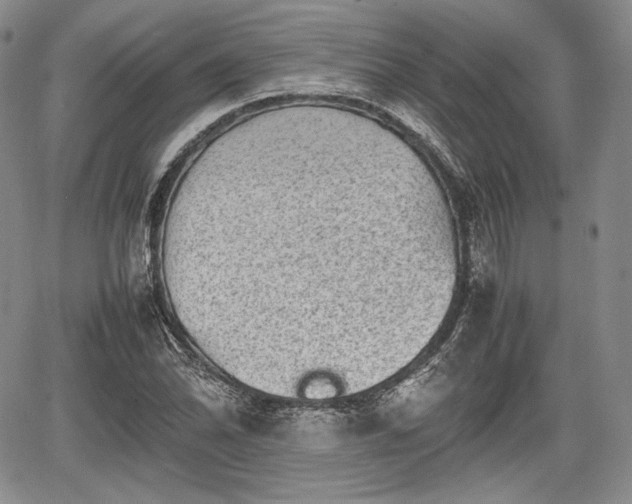 X0000067911070200604171333