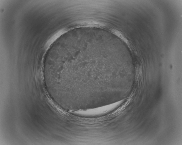 X0000067911071200604171333