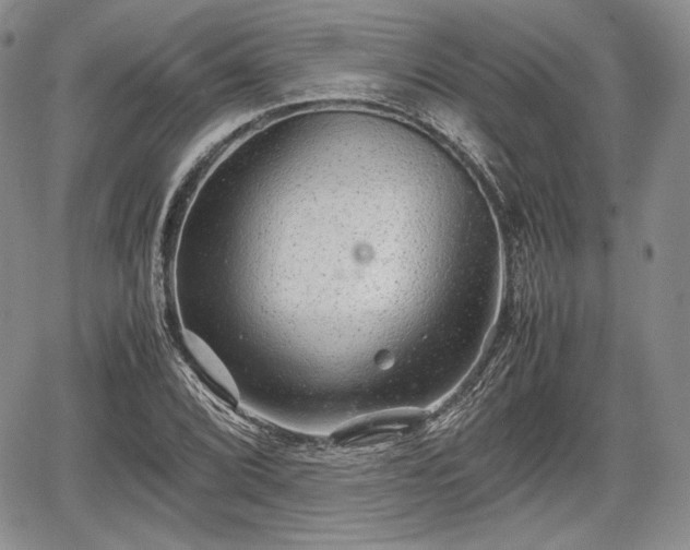 X0000067911072200604171333