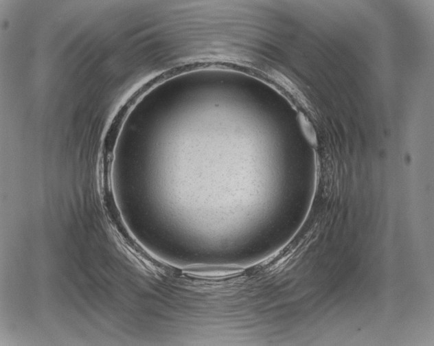 X0000067911076200604171333