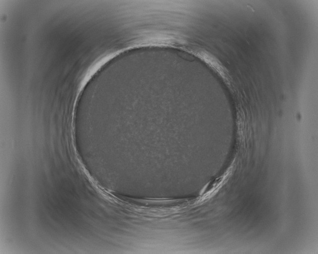 X0000067911077200604171333