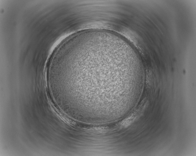 X0000067911078200604171333