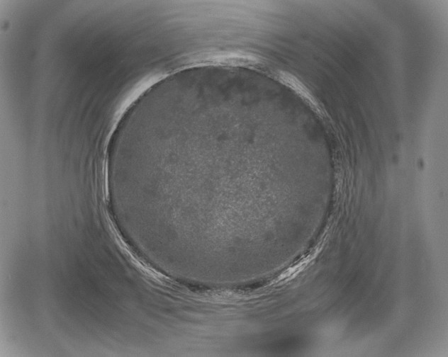 X0000067911079200604171333