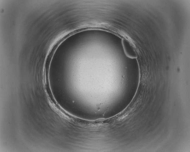 X0000067911080200604171333