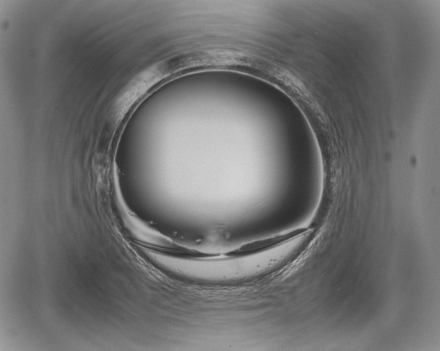 X0000067911081200604171333