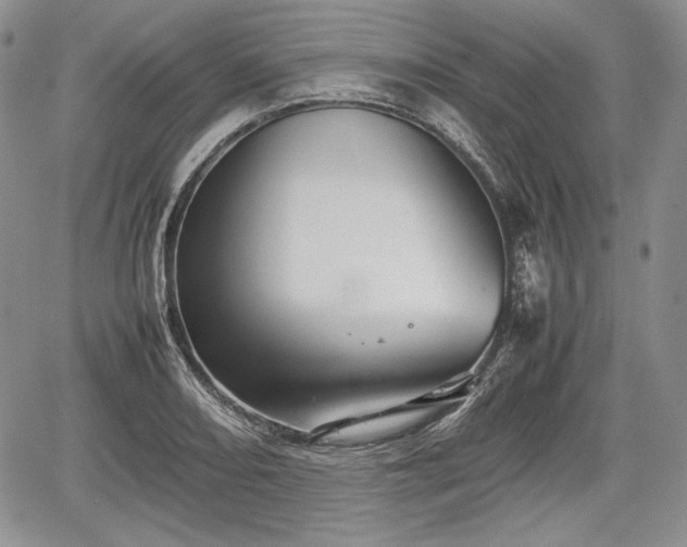 X0000067911082200604171333