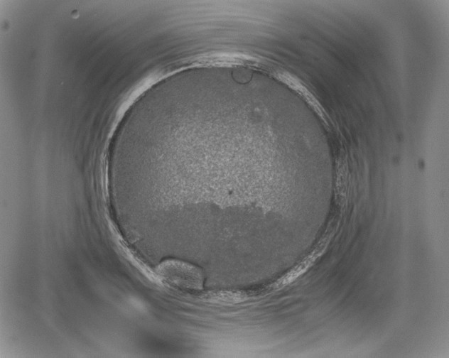 X0000067911083200604171333