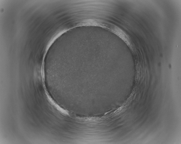 X0000067911084200604171333