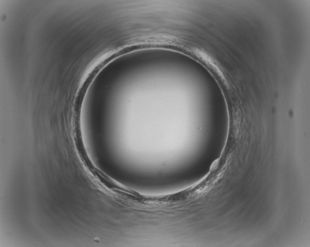 X0000067911085200604171332