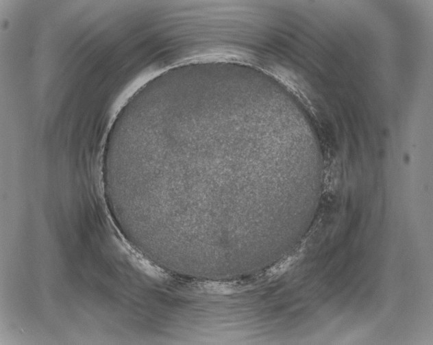 X0000067911086200604171332