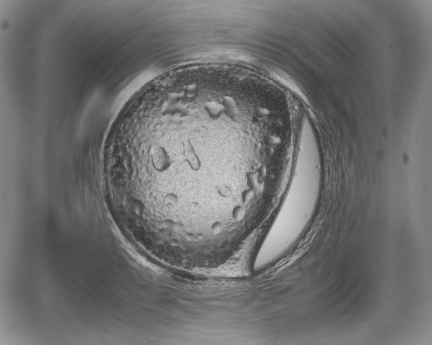 X0000067911087200604171332