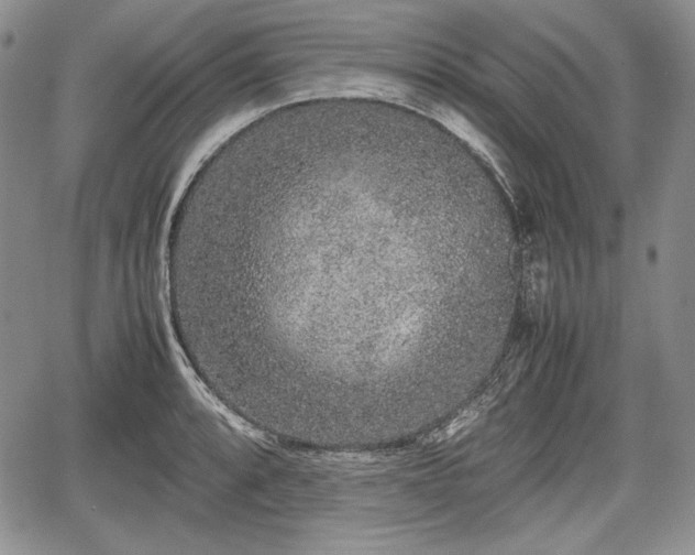 X0000067911088200604171332