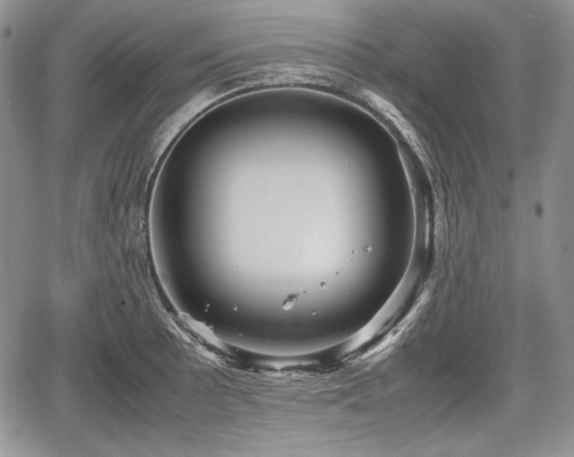 X0000067911089200604171332