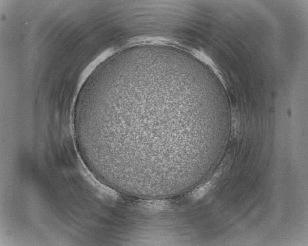 X0000067911090200604171332