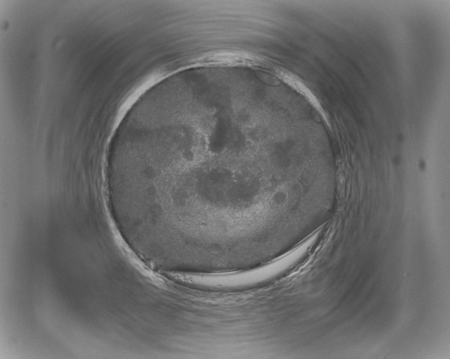 X0000067911091200604171332