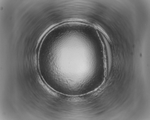 X0000067911092200604171332