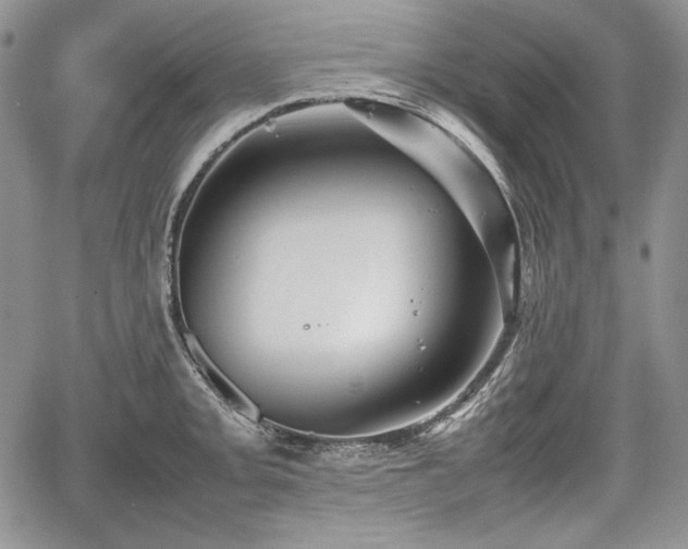 X0000067911093200604171332